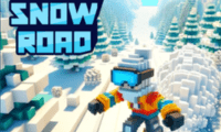 Snow Road
