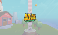 Knife Master: Ball Racing